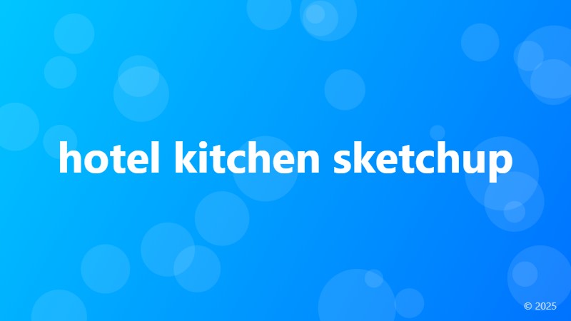 hotel kitchen sketchup